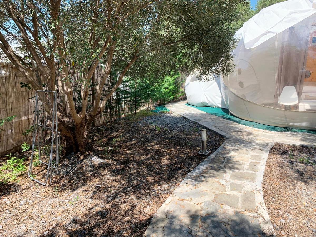 Bubble Tent Hotel Неа Мудания Екстериор снимка
